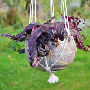ceramic plant hanger