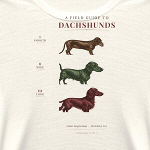 Dachshund Shirt Vintage Field Guide, Doxie Gift for Dachshund Mom or Dad, Wirehaired Longhaired Smooth Wiener Dog Tee image 4