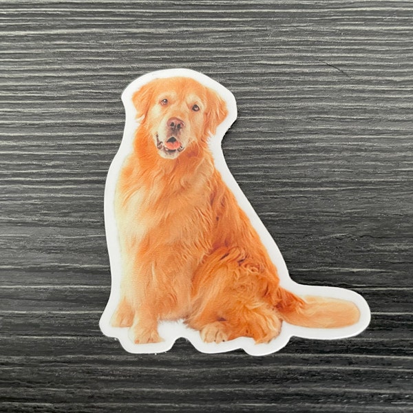 Golden Retriever Dog Custom Designed Die-Cut Sticker | Dog Sticker | Golden Retriever | Retriever Dog