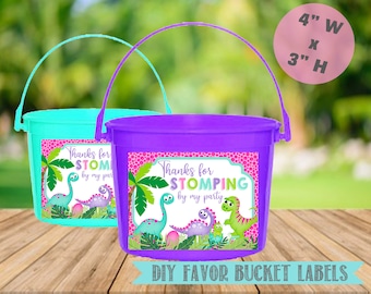 Girly Dinosaur Favor Bucket Labels-Girl Dinosaur Birthday-Girl Dino Birthday Party Favors-Instant Download-Digital File