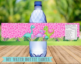 Può includere: Etichette per bottiglie d'acqua con dinosauri rosa e verdi su uno sfondo a pois. Le etichette hanno una sezione di informazioni nutrizionali con un elenco umoristico di elementi come "Torta e gelato" e "Giochi e premi".