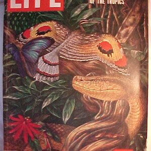 September 20, 1954 LIFE Magazine the World we Live in XI on the Cover has 176 pages of ads and articles, Birthday Gift Idea No.2