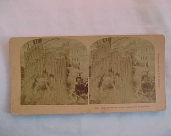 Op de afbeelding: Een sepia-getinte stereoscopische afbeelding van een groep kinderen die in een boom spelen. De afbeelding heeft de titel "Boys in the Old Oak Tree, Central Park, N.Y. Photographed June 18, 1872 by E. & H.T. Anthony."