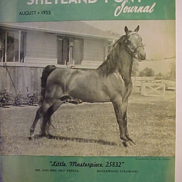 Agosto 1955 American Shetland Pony Journal Magazine , Vintage Horse Pony Magazine, tiene 79 páginas de anuncios y artículos