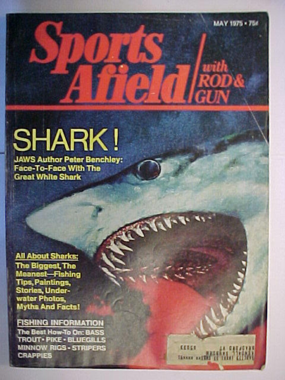 May 1975 Sports Afield Magazine Cover Art by Schelling Etsy