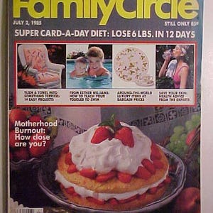 July 2, 1985 Family Circle Magazine cover art by Gordon E. Smith has 132 Pages of Nice Ads & Articles, Magazine for Women, Birthday Gift
