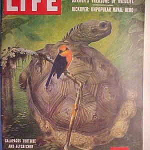 September 8, 1958 LIFE Magazine with Galapagos Tortoise and Flycatcher on the Cover has 126 pages of ads and articles, Birthday Gift Idea