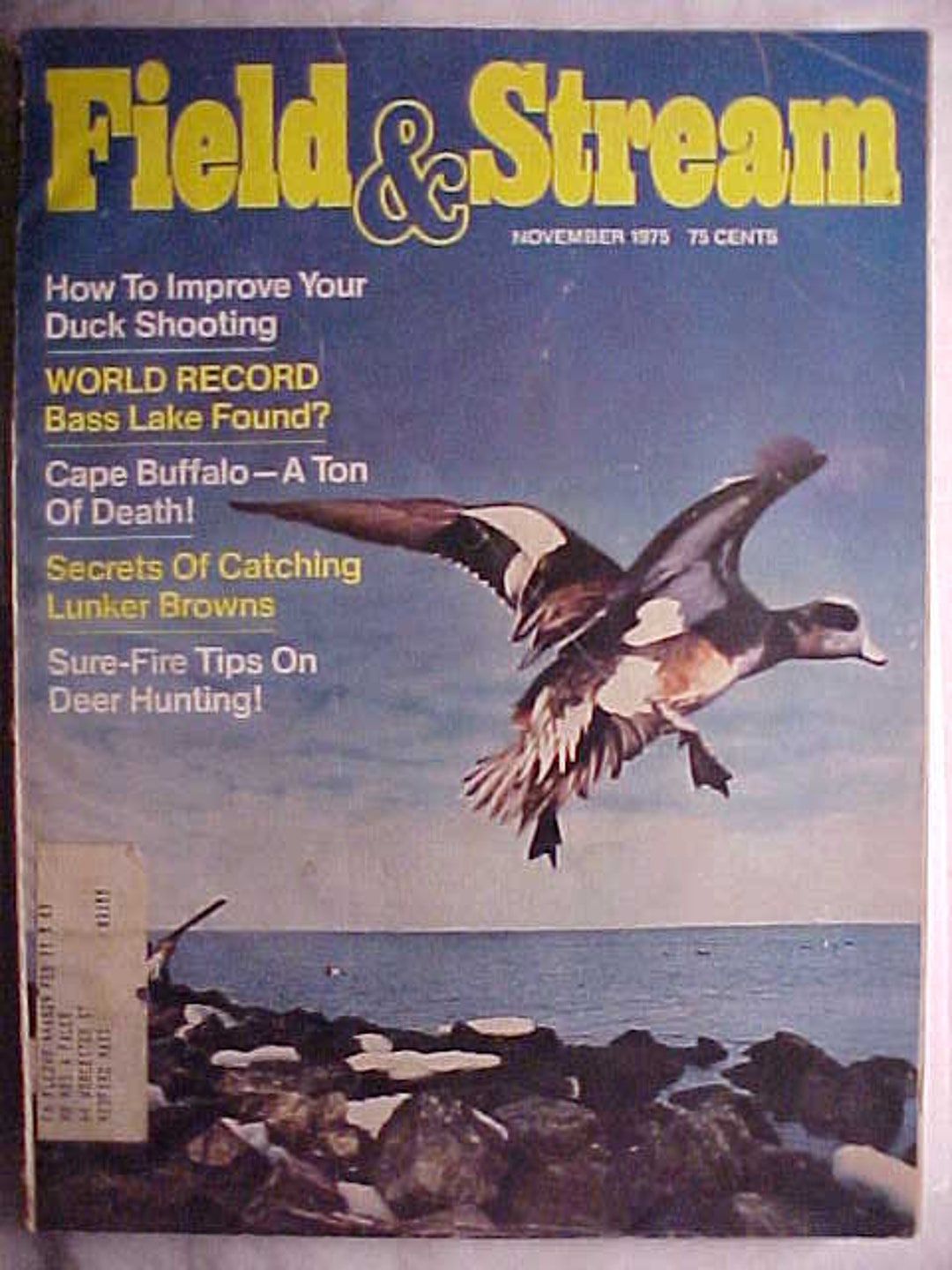 November 1975 Field & Stream Magazine With the Cover Art by James ...