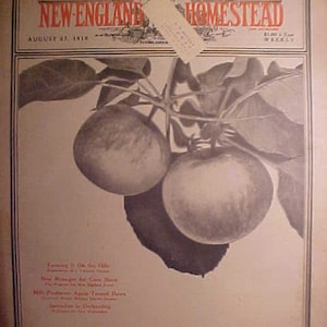 May include: A vintage magazine cover for the New England Homestead, dated August 27, 1918. The cover features a black and white illustration of apples on a branch.