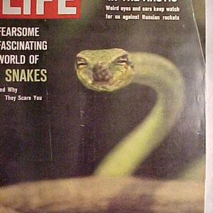 March 1, 1963 LIFE Magazine with a Snake on the Cover has 82 pages of ads and articles , Birthday Gift Idea