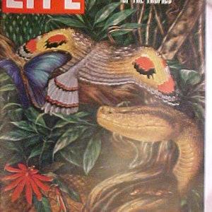 September 20, 1954 LIFE Magazine the World we Live in XI on the Cover has 176 pages of ads and articles, Birthday Gift Idea