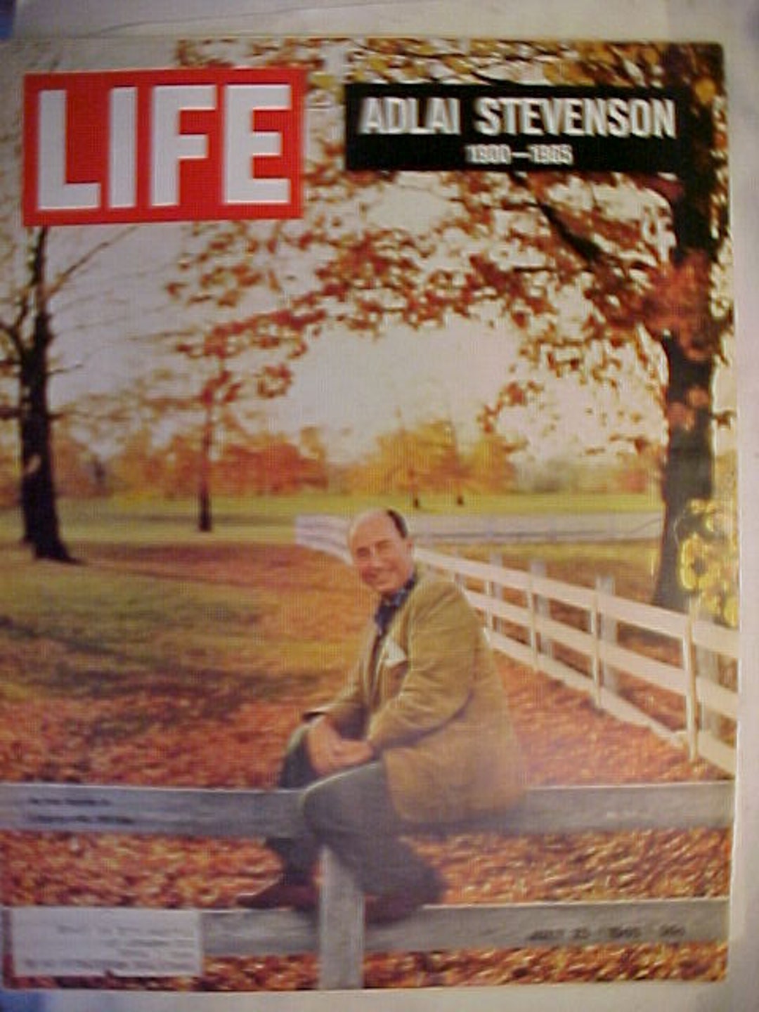 July 23, 1965 LIFE Magazine With Adlai Stevenson on the Cover Has 82 ...