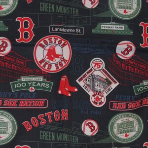 Red sox hotsell pillow case