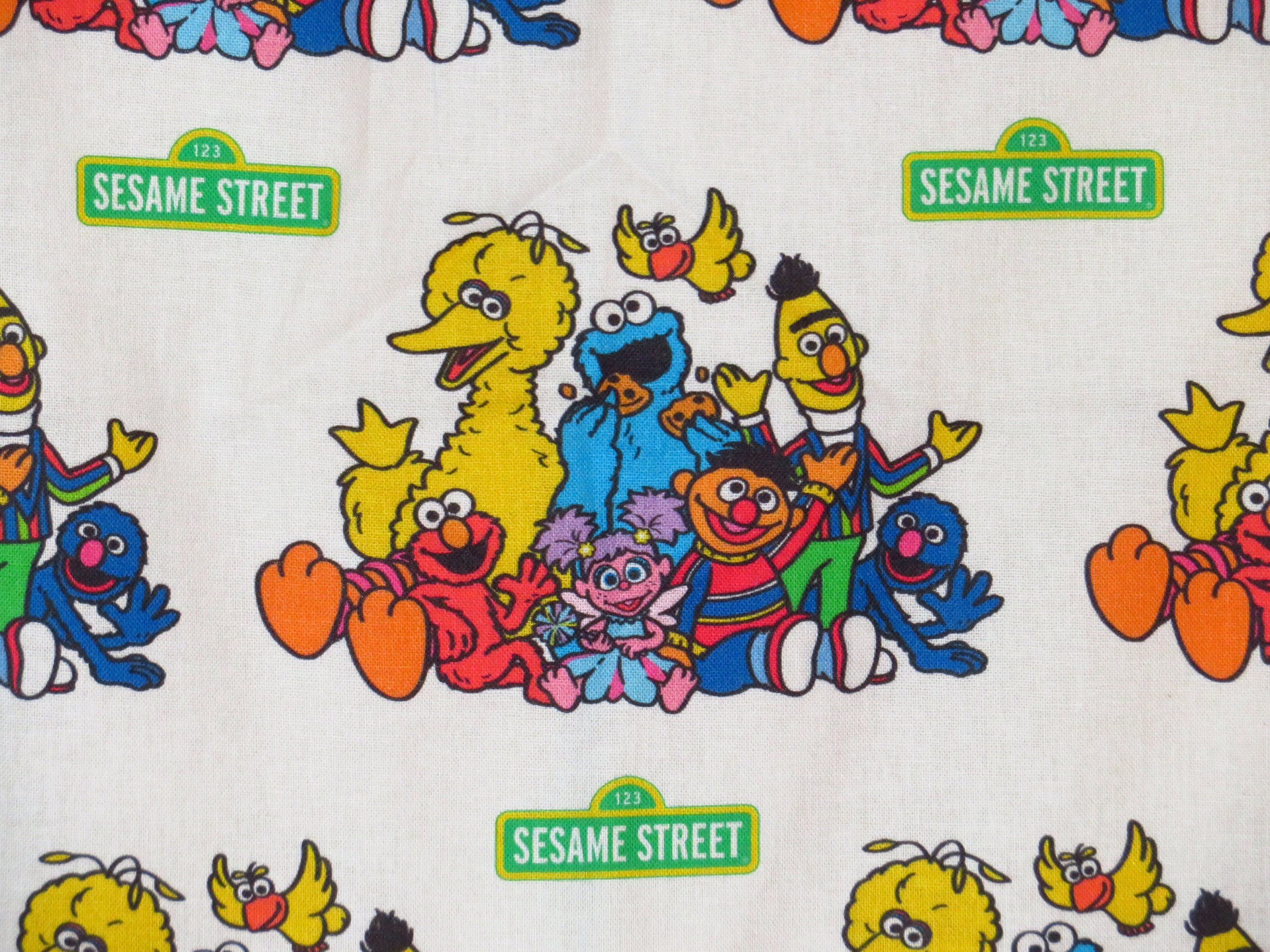 Vintage Sesame Street pillow case All items free shipping