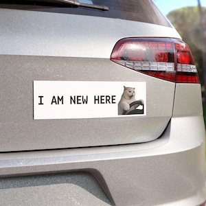 Peut inclure: Un autocollant rectangulaire blanc pour pare-chocs apposé à l'arrière d'une voiture argentée. L'autocollant présente le texte noir I AM NEW HERE et l'image d'un chat blanc la gueule ouverte, semblant tenir un volant circulaire noir.