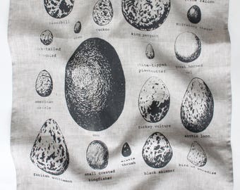 Bird Eggs - Tea Towel