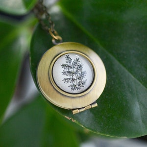 Fern Locket Necklace, Plant Jewelry, Keepsake Gift for Nature Lover