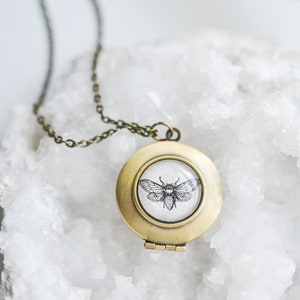 May include: A brass locket necklace with a glass insert featuring a black and white illustration of a cicada.