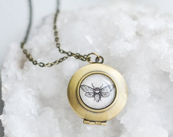 Bee Locket Necklace, Insect Jewelry, Keepsake Gift for Nature Lover