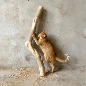 Cat scratching post wall mounted natural wood branch sisal rope scratcher handmade cat furniture