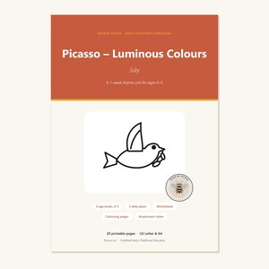 Op de afbeelding: Een digitaal curriculumdocument getiteld Picasso – Luminous Colours voor juli, met een thema-eenheid van 1 week voor kinderen van 0-5 jaar. De pagina bevat een zwarte lijntekening van een vogel, een bijenlogo en labels voor 5 leeftijdsniveaus, 5 dagplannen, werkbladen, kleurplaten en beoordelingsnotities.