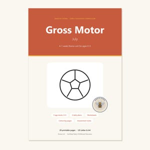 May include: A digital document cover titled Gross Motor July, a 1-week theme unit for ages 0-5. It features a black line drawing of a pentagonal ball, a bee logo, and text labels for 5 age levels, 5 daily plans, worksheets, coloring pages, and assessment notes.