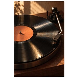 Sunlit Vinyl Record Art Print, 1970s Music Aesthetic (Unframed Print) image 3