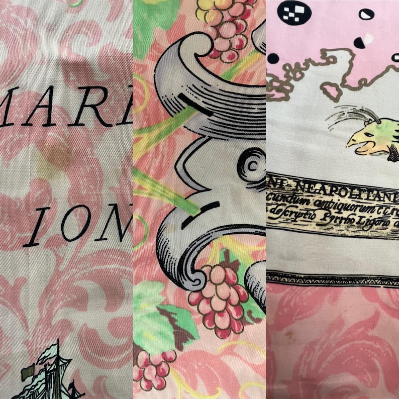 Pode incluir: Um tecido rosa e branco com um padr&atilde;o floral e as palavras "MARION" e "ION". O tecido tamb&eacute;m apresenta uma ilustra&ccedil;&atilde;o em preto e branco de um navio e uma videira com uvas.