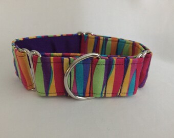 1.5" Curved Rainbow Stripe Martingale Collar