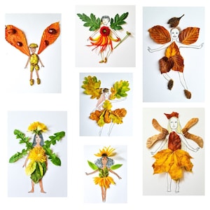 May include: A collection of six fairy illustrations created using natural materials such as leaves, flowers, and twigs. Each fairy has a distinctive design and colour scheme, highlighting the beauty of nature.