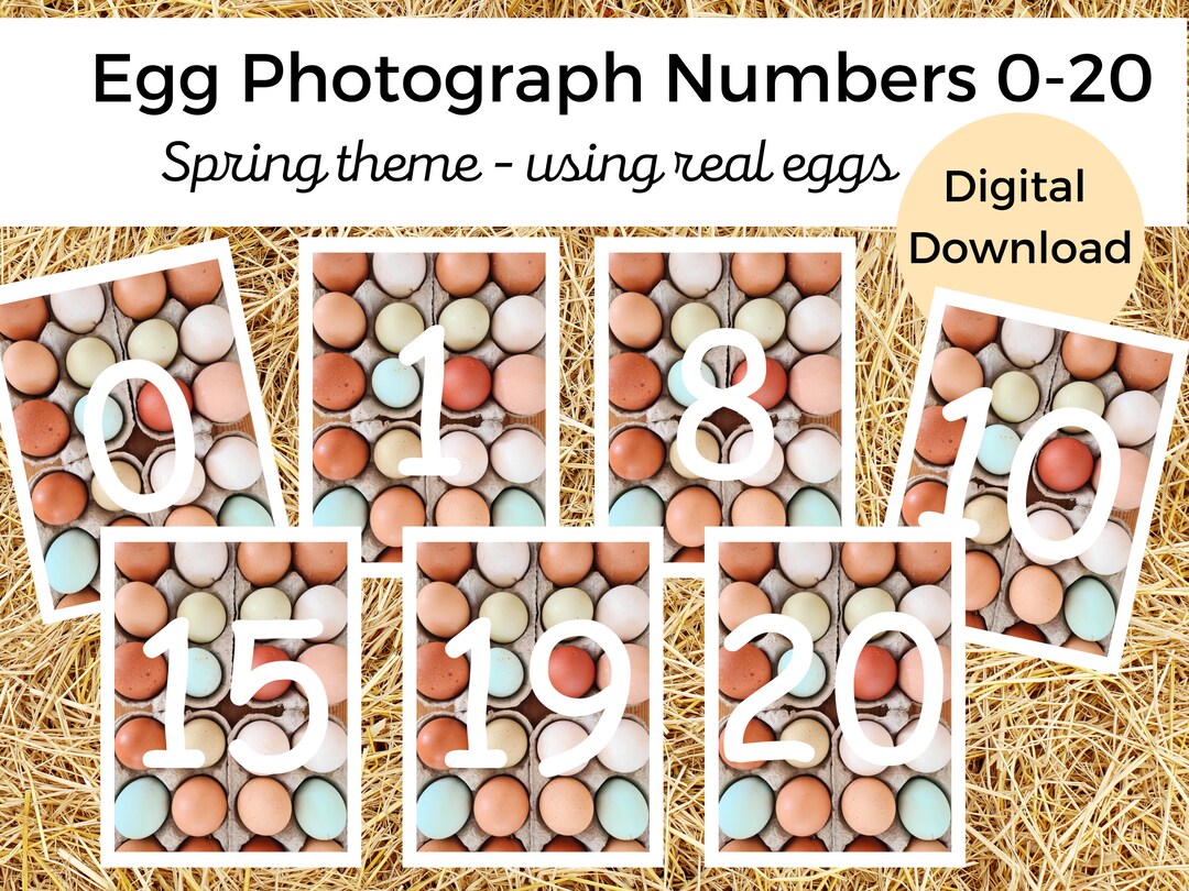 Spring Number Flash Cards 0-20 | Number Flash Cards | Easter Egg ...