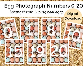 Tarjetas didácticas con números de primavera 0-20 / Tarjetas didácticas numéricas / Números de huevos de Pascua / Recursos de Pascua / Tarjetas didácticas / Búsqueda de huevos de Pascua