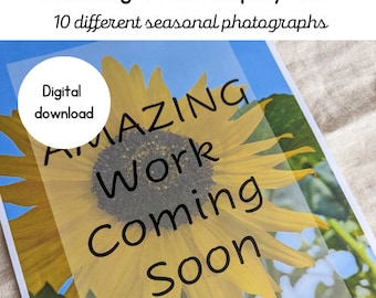 Amazing work coming soon display | Nature photography | Natural classroom | Digital download |