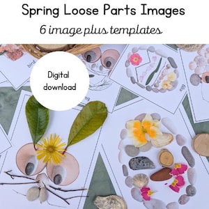 Frühling Tiere und Natur Einzelteile | Digitale Lernressource | Ostern | Natur Printables | Heimatschule