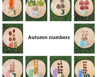 nature numbers etsy