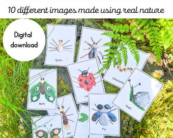 Pièces détachées Nature Minibeasts | Ressource d'apprentissage numérique | Étude sur les minibêtes | Nature à imprimer | École à la maison