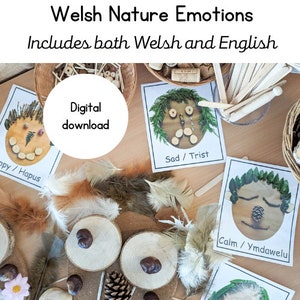 IDIOMA GALÉS Naturaleza emociones sentimientos tarjetas flash, phse, salud mental de los niños, escuela forestal, eyfs, ks1, jardín de infantes