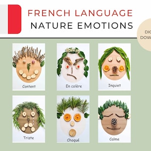 Lingua francese / Schede flash sentimenti, emozioni della natura / download digitale / salute mentale dei bambini / consapevolezza / scuola materna