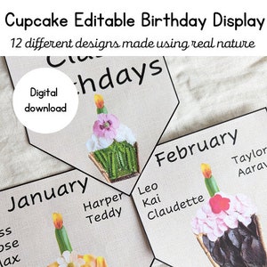 Editable class birthday display | Birthday board | Nature cupcake theme | Natural classroom | Class birthdays | Birthday display