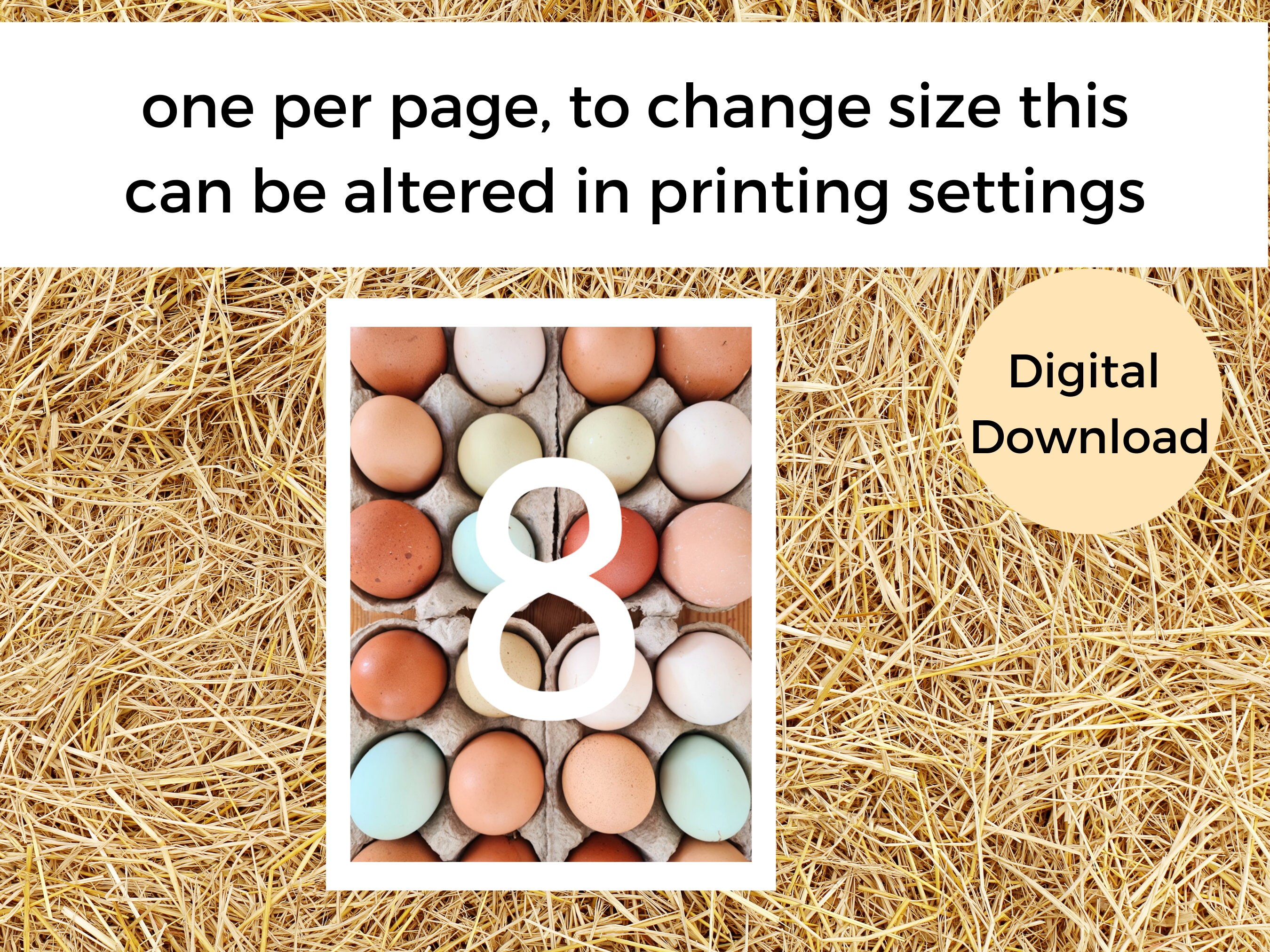Spring Number Flash Cards 0-20 | Number Flash Cards | Easter Egg ...