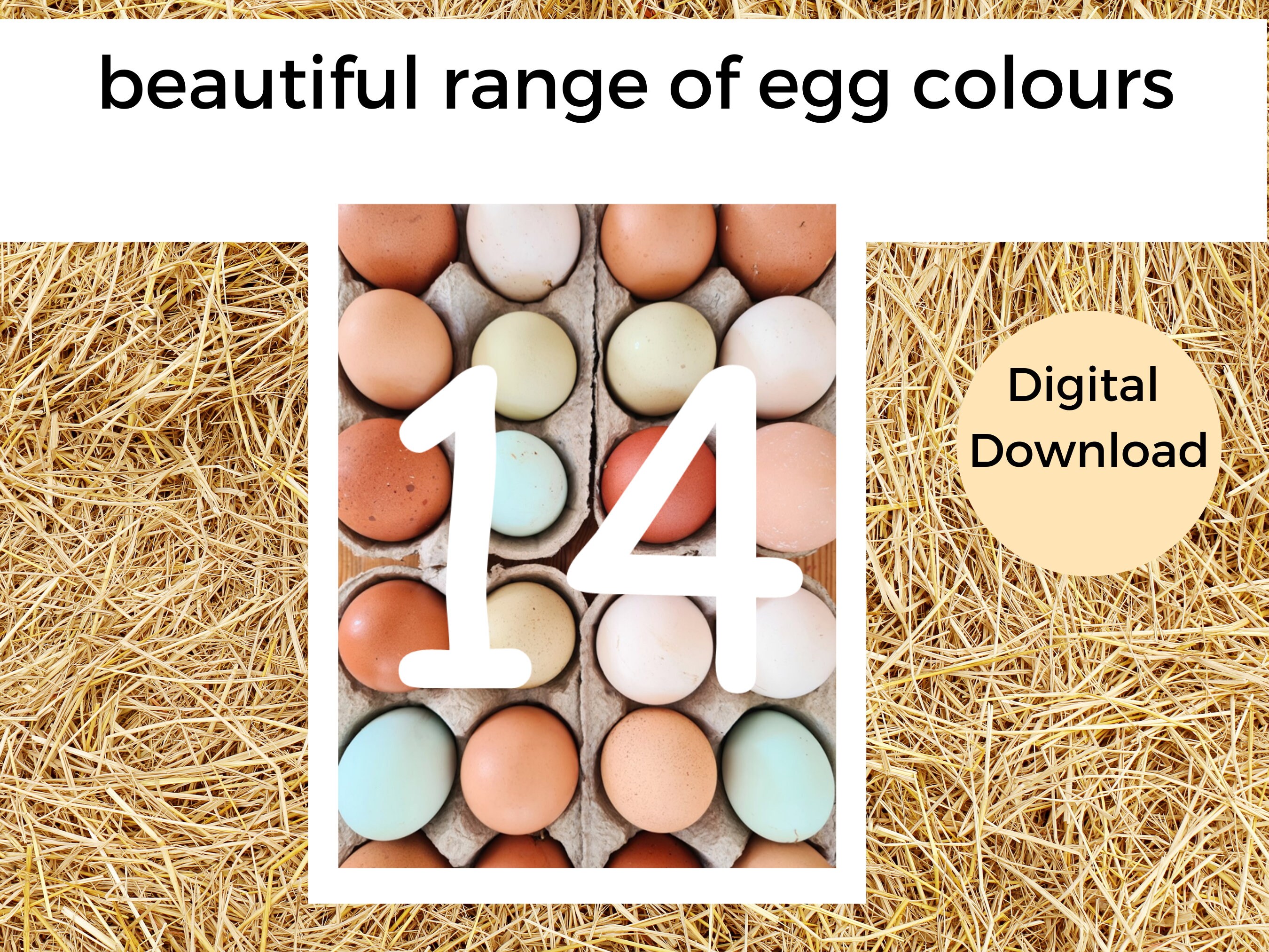 Spring Number Flash Cards 0-20 | Number Flash Cards | Easter Egg ...