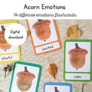 Acorn Emotions flash cards | Nature emotions | digital download | kids wellbeing | emotions printable | loose parts play | classroom decor