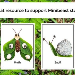 Pièces détachées Nature Minibeasts Ressource d'apprentissage numérique Étude sur les minibêtes Nature à imprimer École à la maison image 3