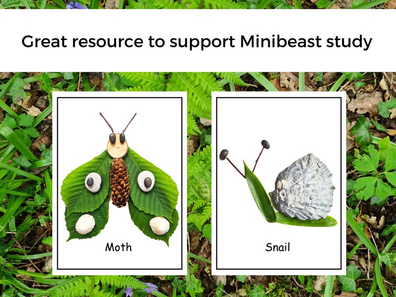 Pièces détachées Nature Minibeasts Ressource d'apprentissage numérique Étude sur les minibêtes Nature à imprimer École à la maison image 3