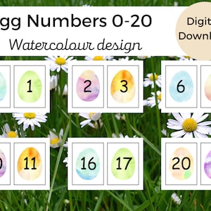 May include: Watercolor painted eggs with numbers 0-20 on them. The eggs are arranged in rows on a background of green grass and white daisies.