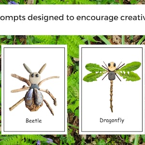 Pièces détachées Nature Minibeasts Ressource d'apprentissage numérique Étude sur les minibêtes Nature à imprimer École à la maison image 2