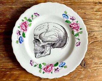 Vintage Anatomical Skull Plate Altered Art gothic