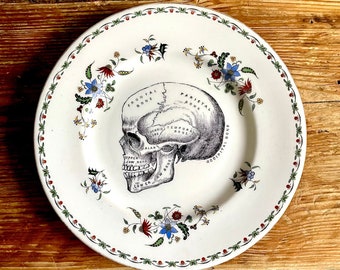 Vintage Anatomical Skull Plate Altered Art gothic