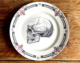 Vintage Anatomical Skull Plate Altered Art gothic