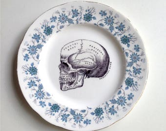 Vintage Anatomical Skull Plate Altered Art gothic